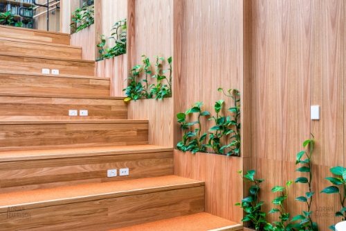 Interior photography closeup of stairs and wood panelling. 